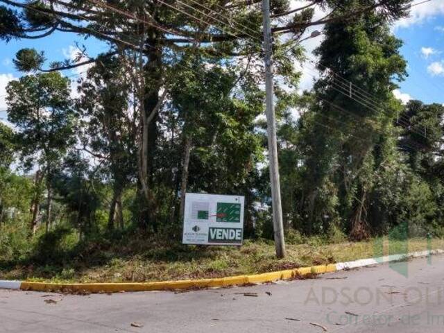 #130 - Terreno para Venda em Flores da Cunha - RS - 3