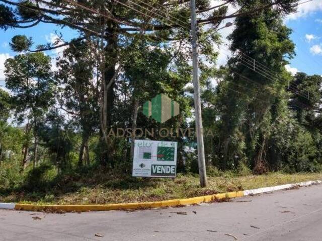 #130 - Terreno para Venda em Flores da Cunha - RS - 3