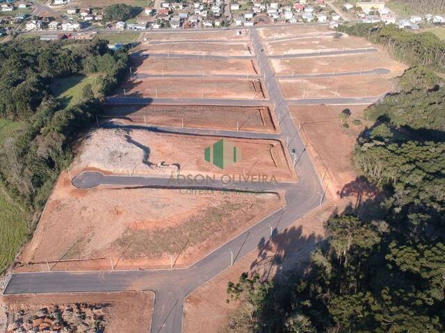 #209 - Terreno para Venda em Flores da Cunha - RS