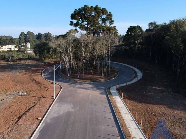 Terreno para Venda em Flores da Cunha - 5