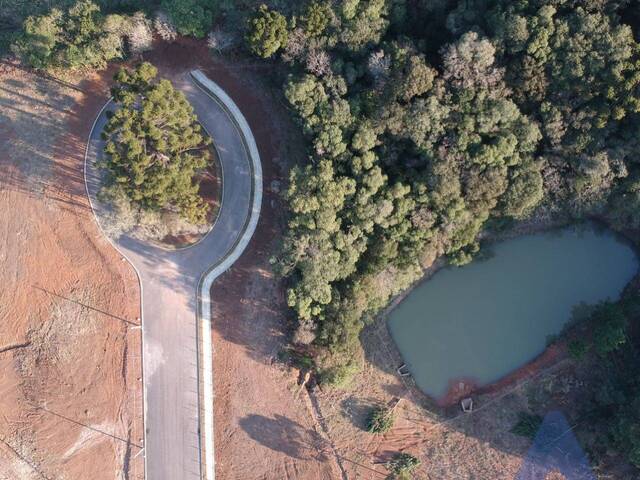 Terreno para Venda em Flores da Cunha - 4