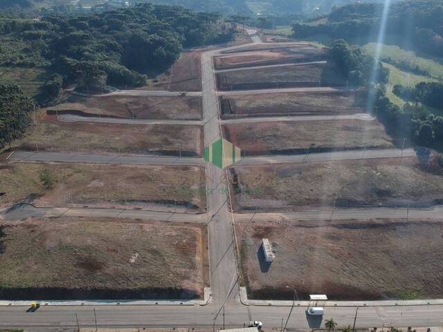 #209 - Terreno para Venda em Flores da Cunha - RS