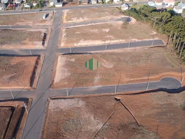 #209 - Terreno para Venda em Flores da Cunha - RS