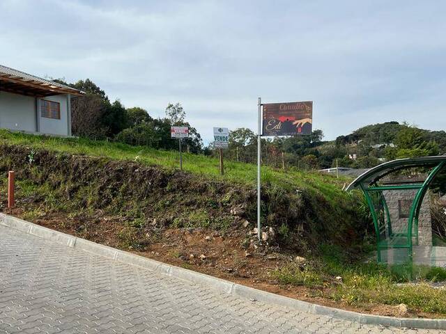 #251 - Terreno para Venda em Flores da Cunha - RS