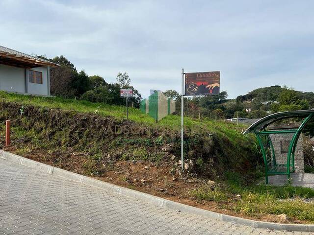 #251 - Terreno para Venda em Flores da Cunha - RS