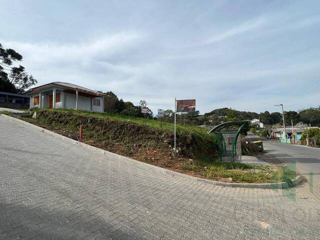 #251 - Terreno para Venda em Flores da Cunha - RS - 2