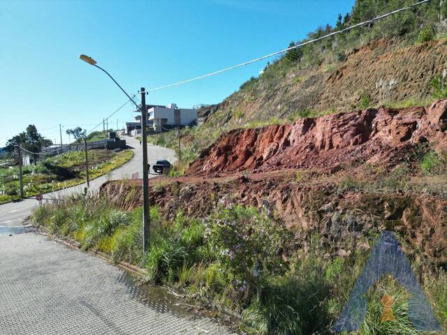 Terreno para Venda em Flores da Cunha - 4