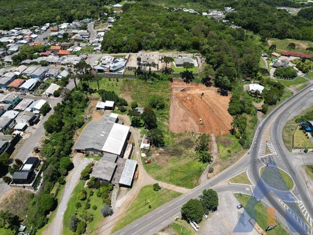 Terreno para Venda em Flores da Cunha - 5