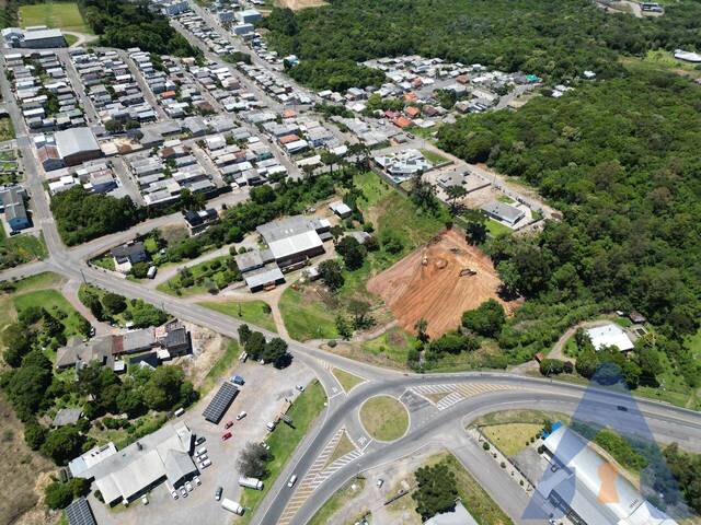 #365 - Terreno para Venda em Flores da Cunha - RS - 3